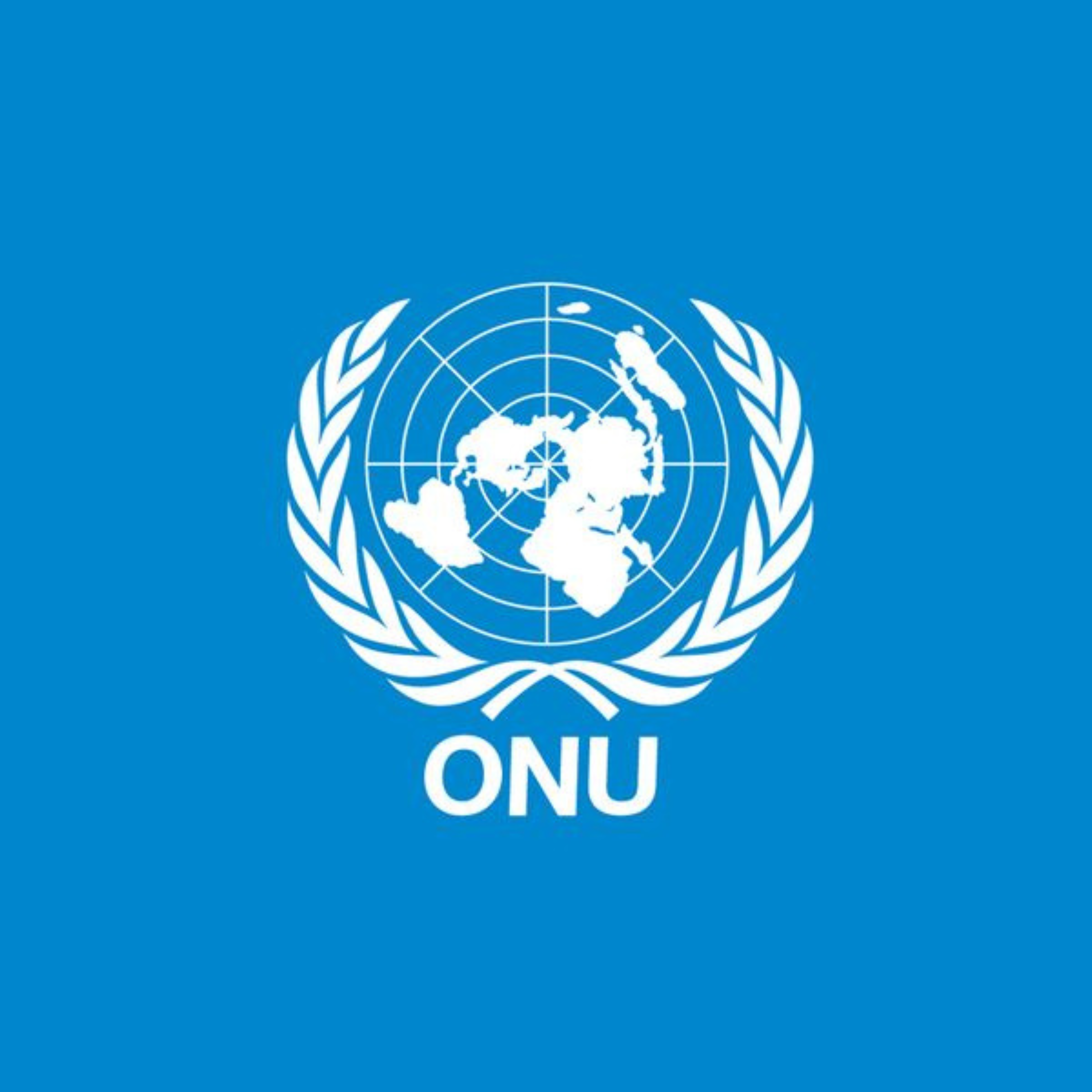 ONU Partners