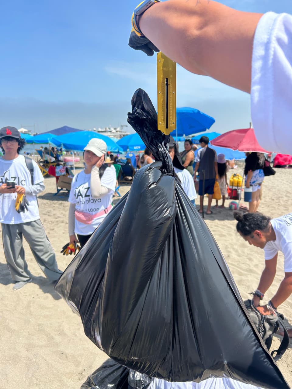 Limpieza de playa 11