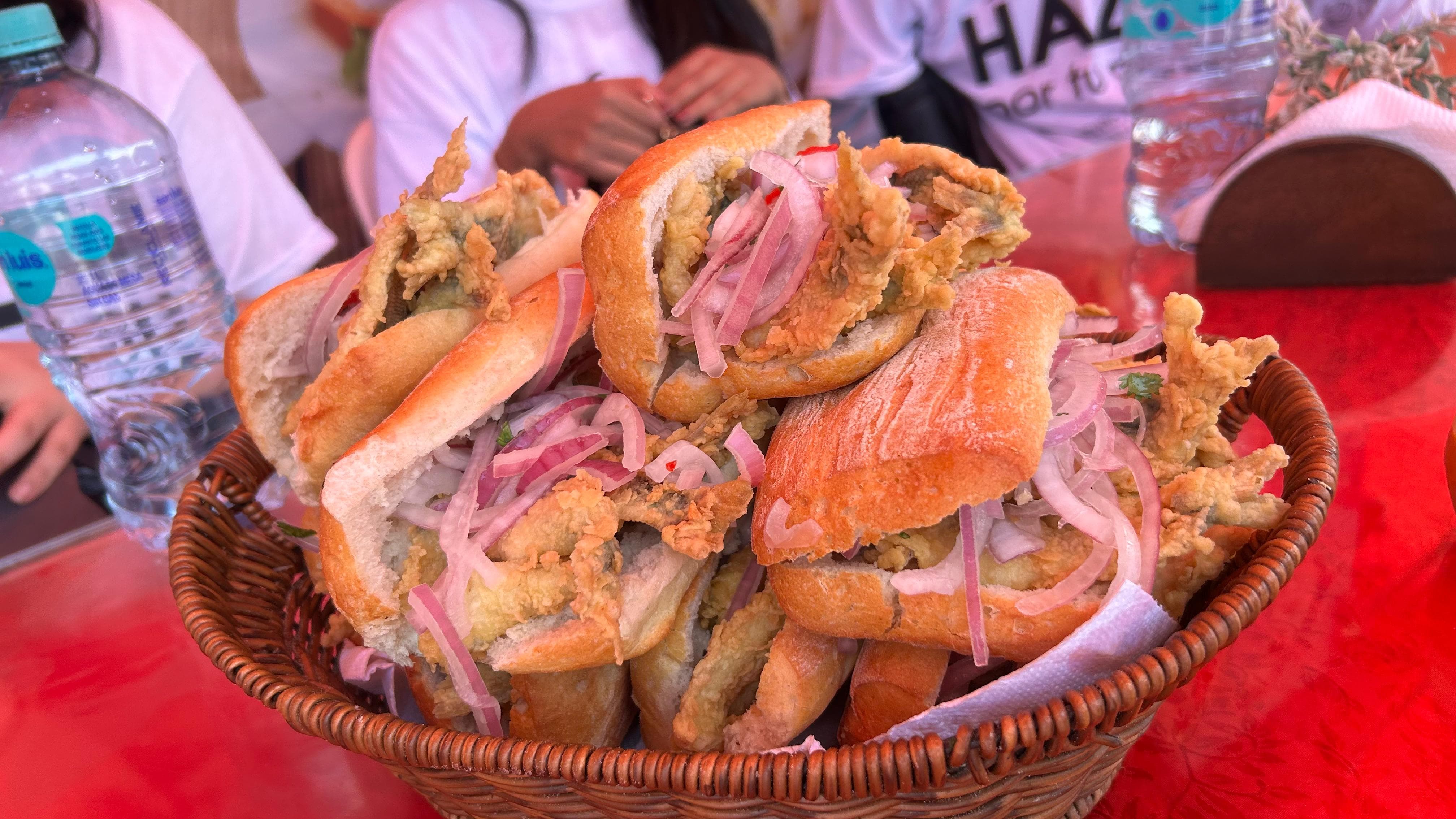 Limpieza de playa 17