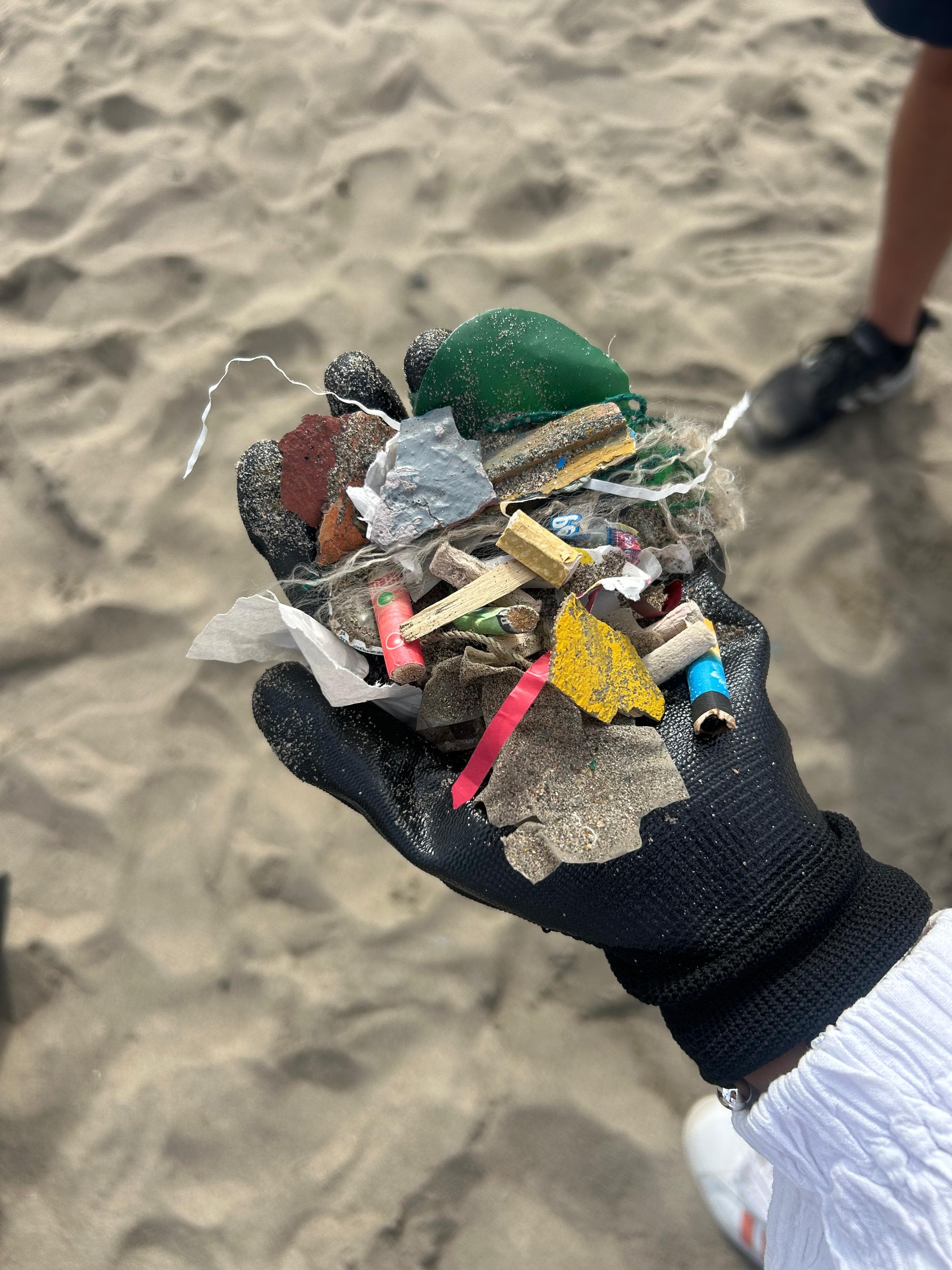 Limpieza de playa 4