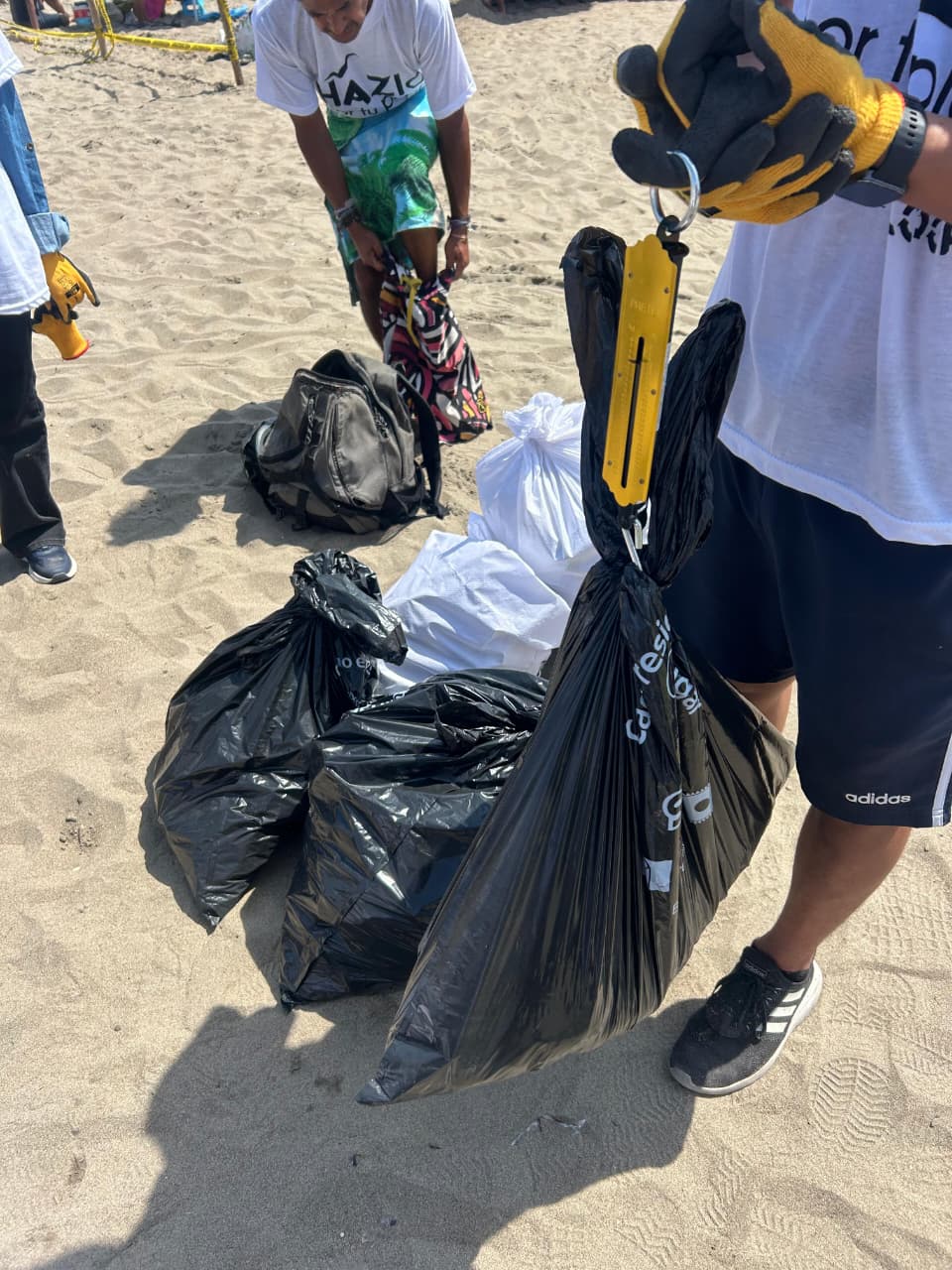 Limpieza de playa 9